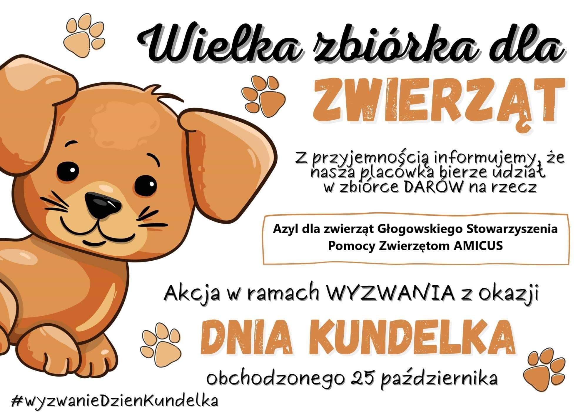 Wyzwanie Dnia Kundelka - Wielka zbi&oacute;rka dla zwierząt