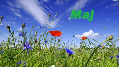 Maj