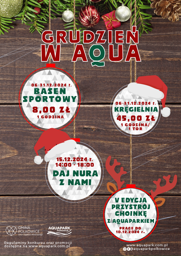 Grudzień w Aquaparku