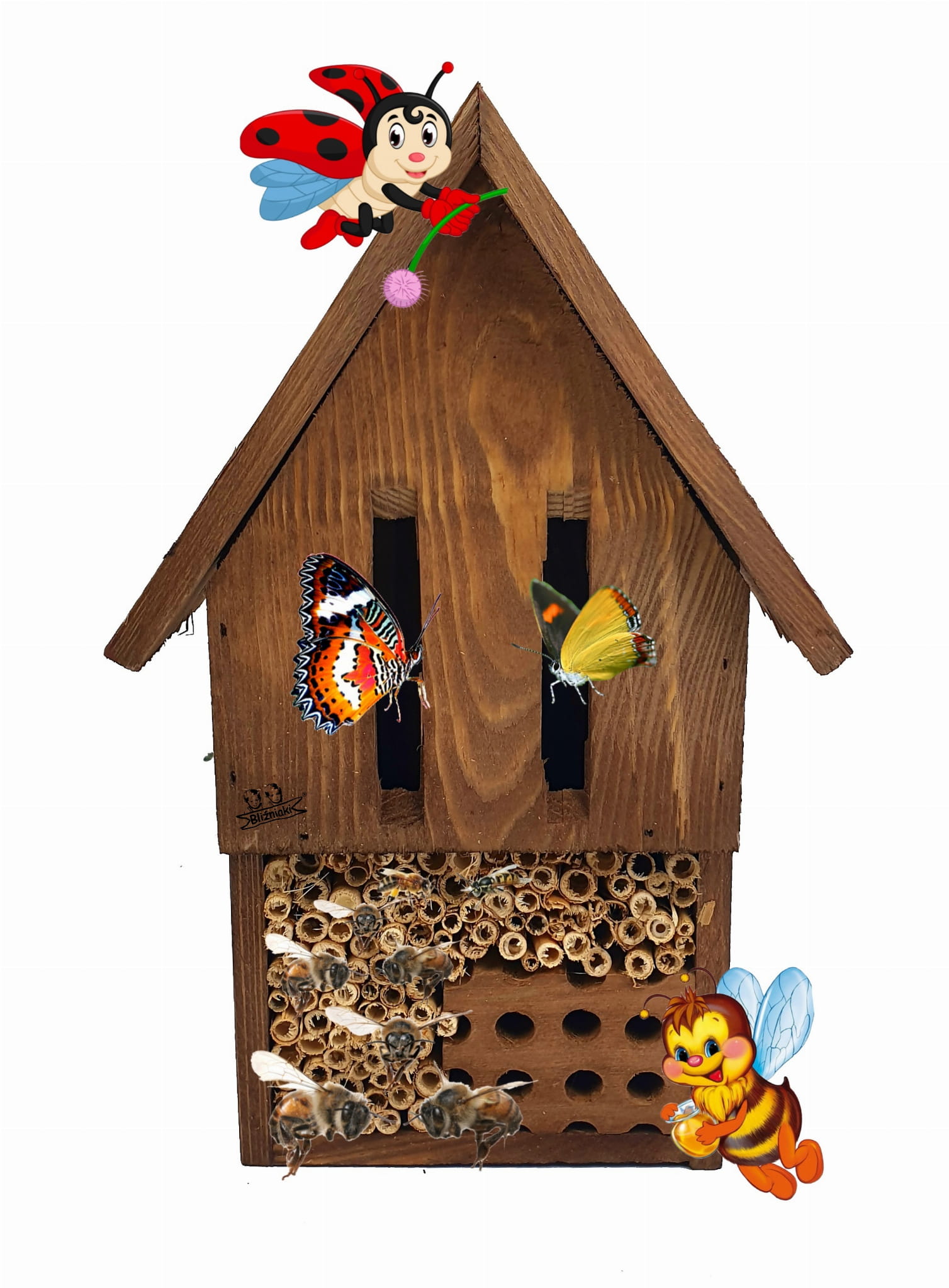 Konkurs Ekologiczny "Budka dla owad&oacute;w"