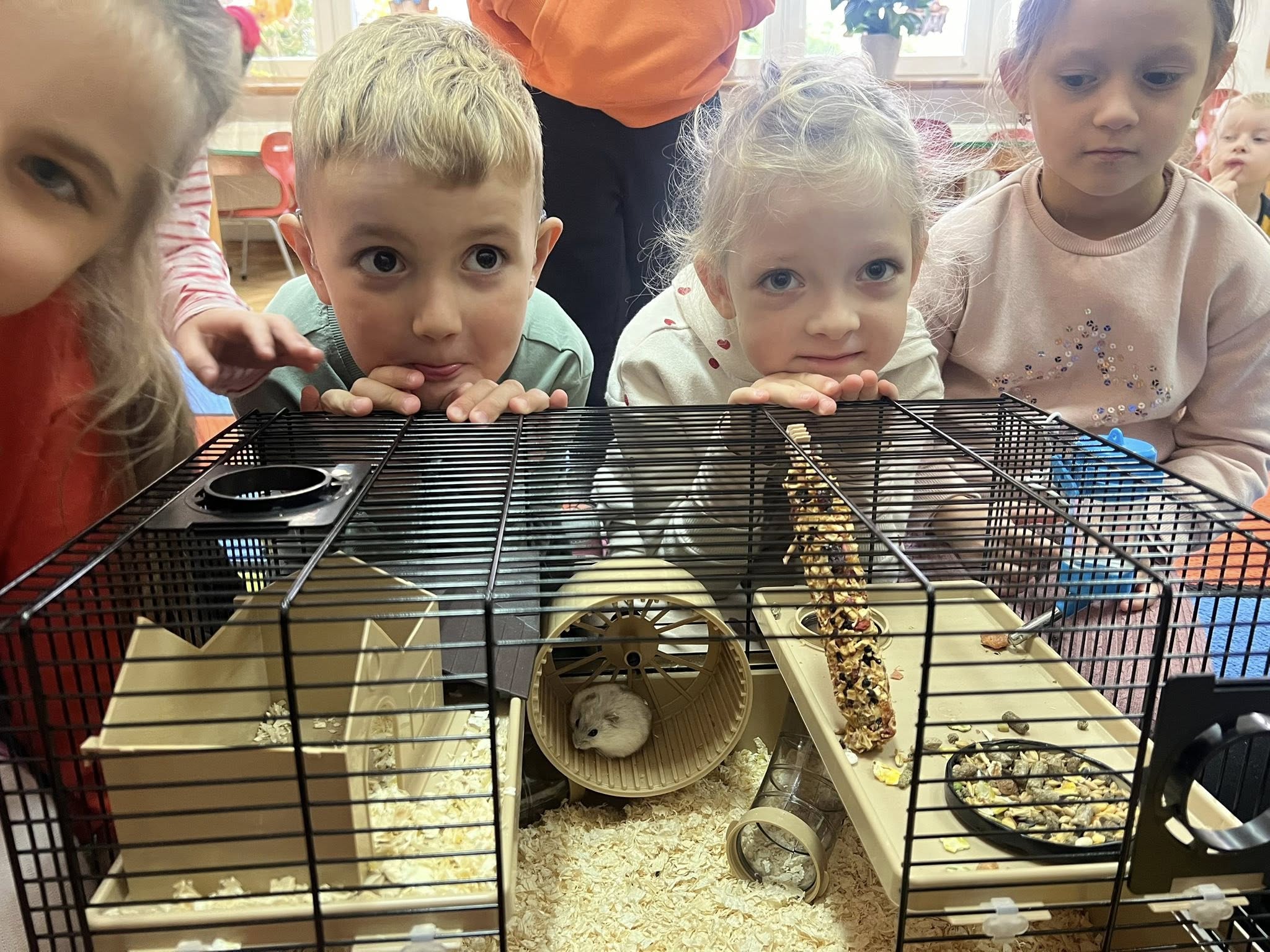 Przedszkole przyjazne zwierzętom