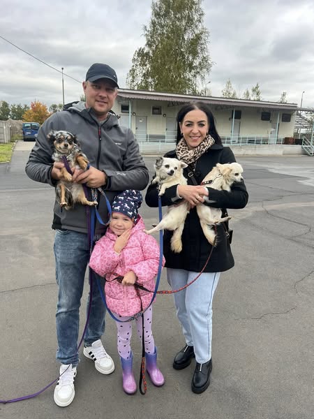 Wizyta w Schronisku dla Bezdomnych Zwierząt w Głogowie