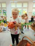 Zdjęcie 11