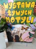 Amazing Butterflies – Wystawa żywych motyli w Aquapark Polkowice