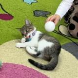 🐱 KOTEK W ODWIEDZINACH U SKRZATÓW 🐱🐾
