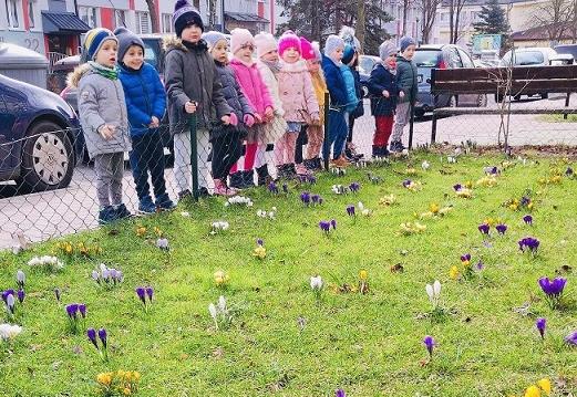W poszukiwaniu wiosny