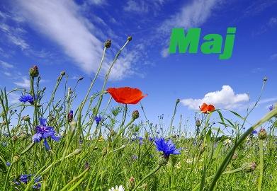 Maj