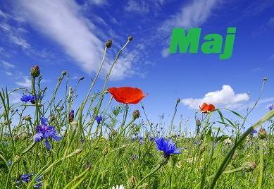 maj