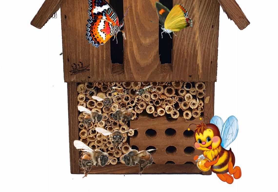 Konkurs Ekologiczny "Budka dla owadów" 