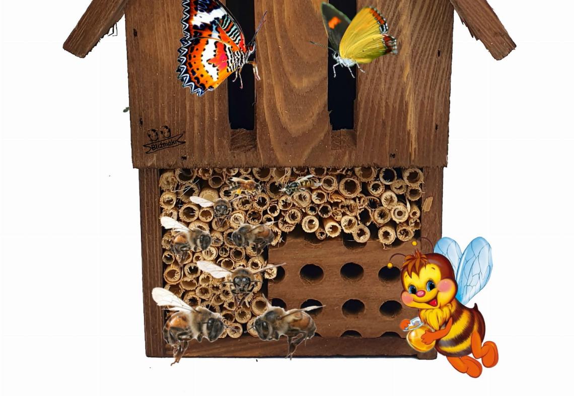 Konkurs Ekologiczny "Budka dla owadów"