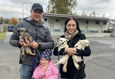 Wizyta w Schronisku dla Bezdomnych Zwierząt w Głogowie